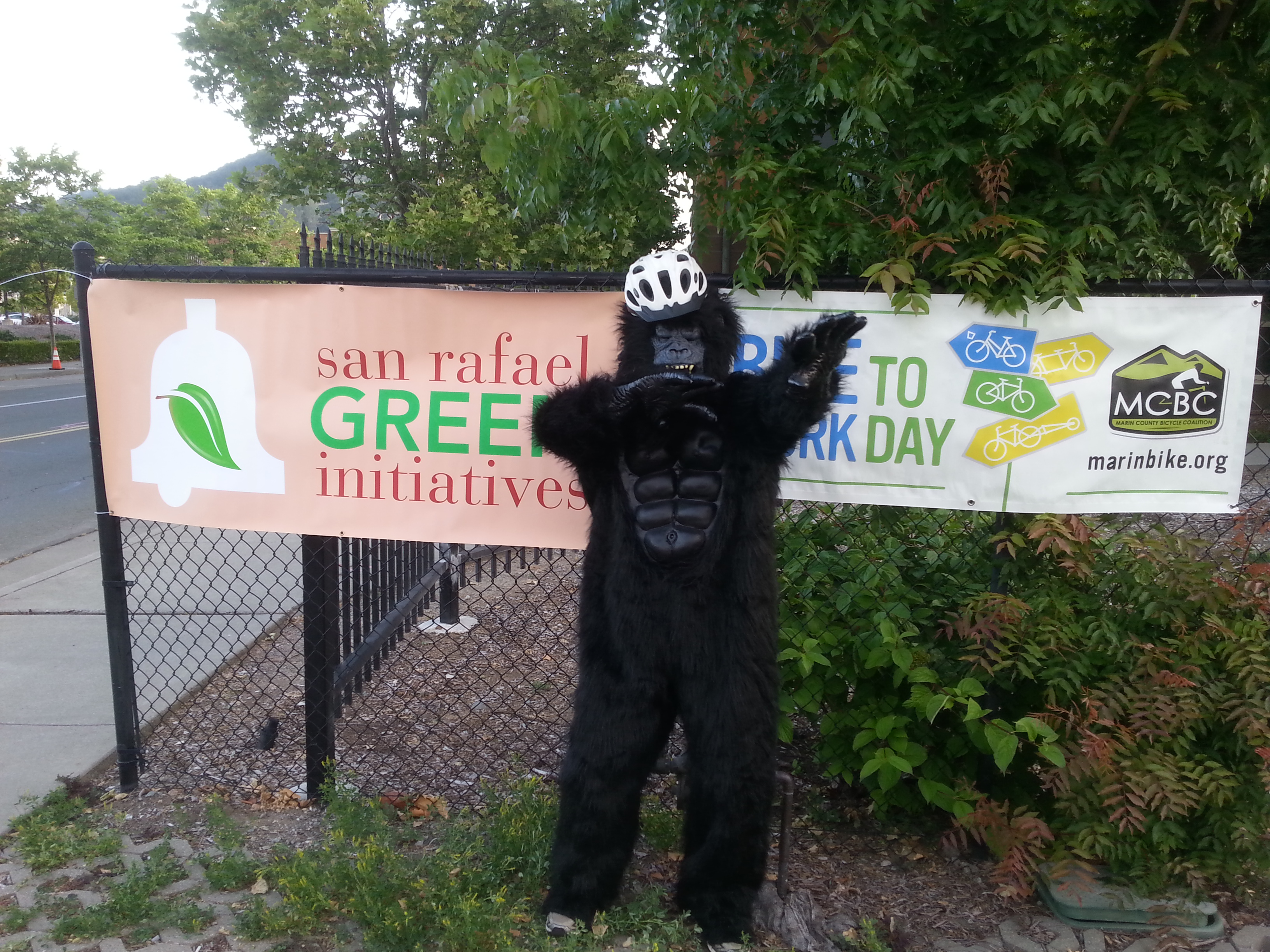 Bike to Work gorilla