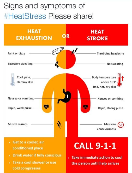 Take Steps to Reduce Effects of Excessive Heat San Rafael