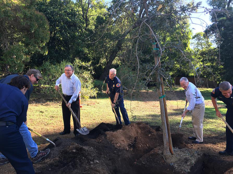 Photo of Arbor Day