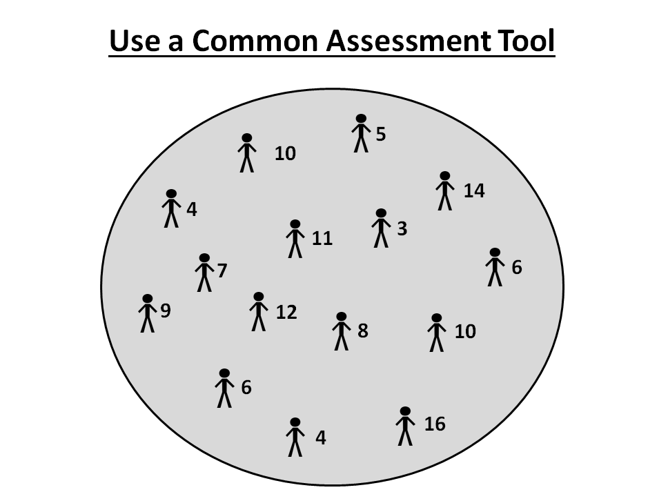 Use a Common Assessment Tool