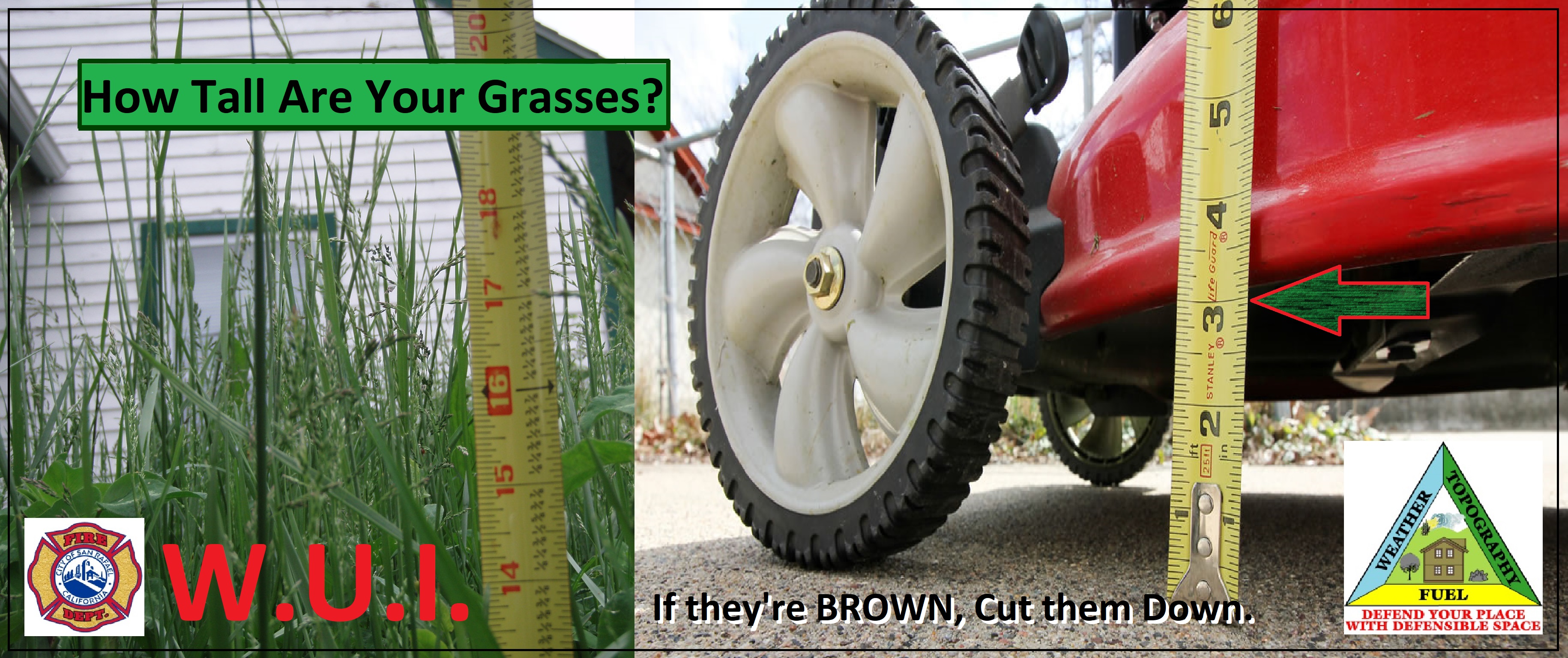 Cut your grass