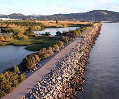 Shoreline Path