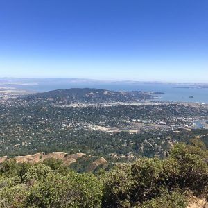 Mt. Tamalpais