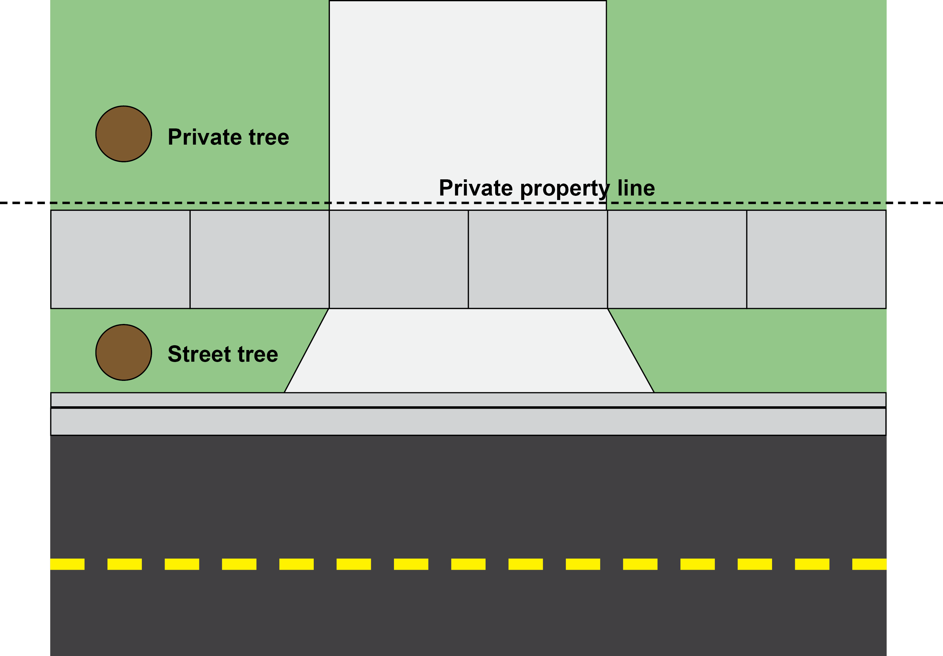 street tree diagram - planting strip