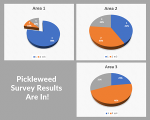 survey results