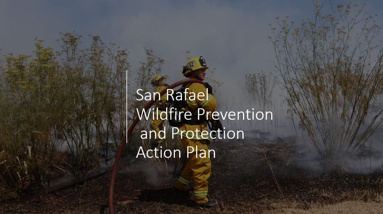 Wildfire Action Plan
