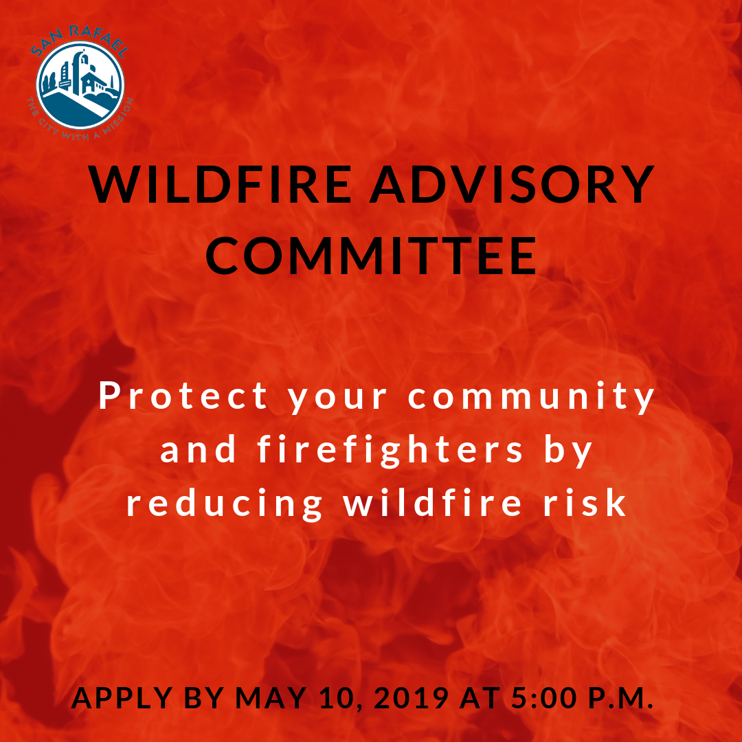 Wildfire Committee JPEG