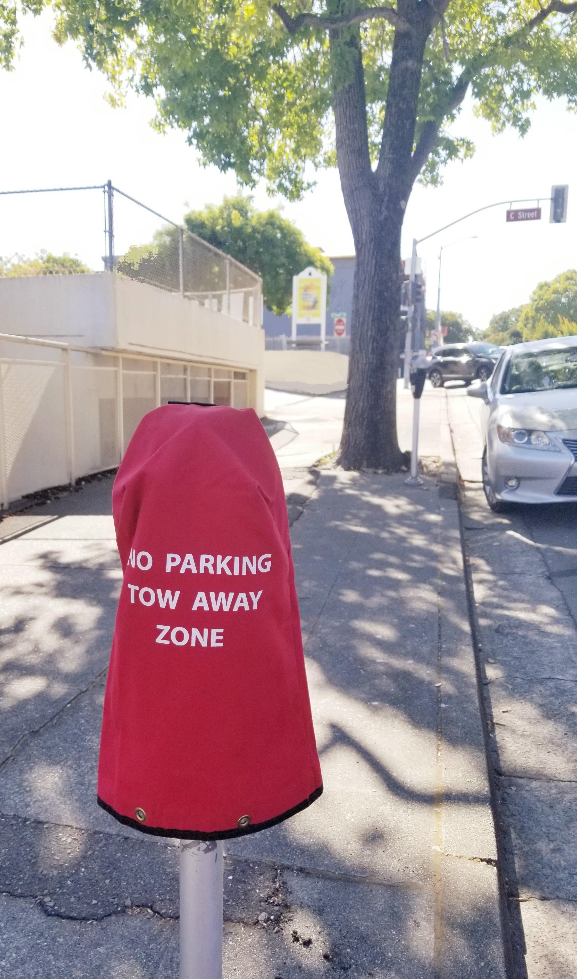 Parking Meter Bag for No Parking