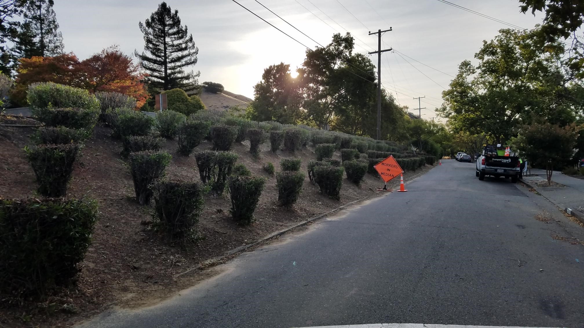 Median Pruning