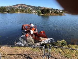 Harvesting Boat