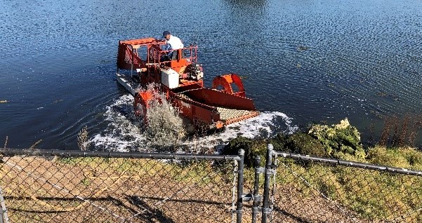 Harvesting Boat