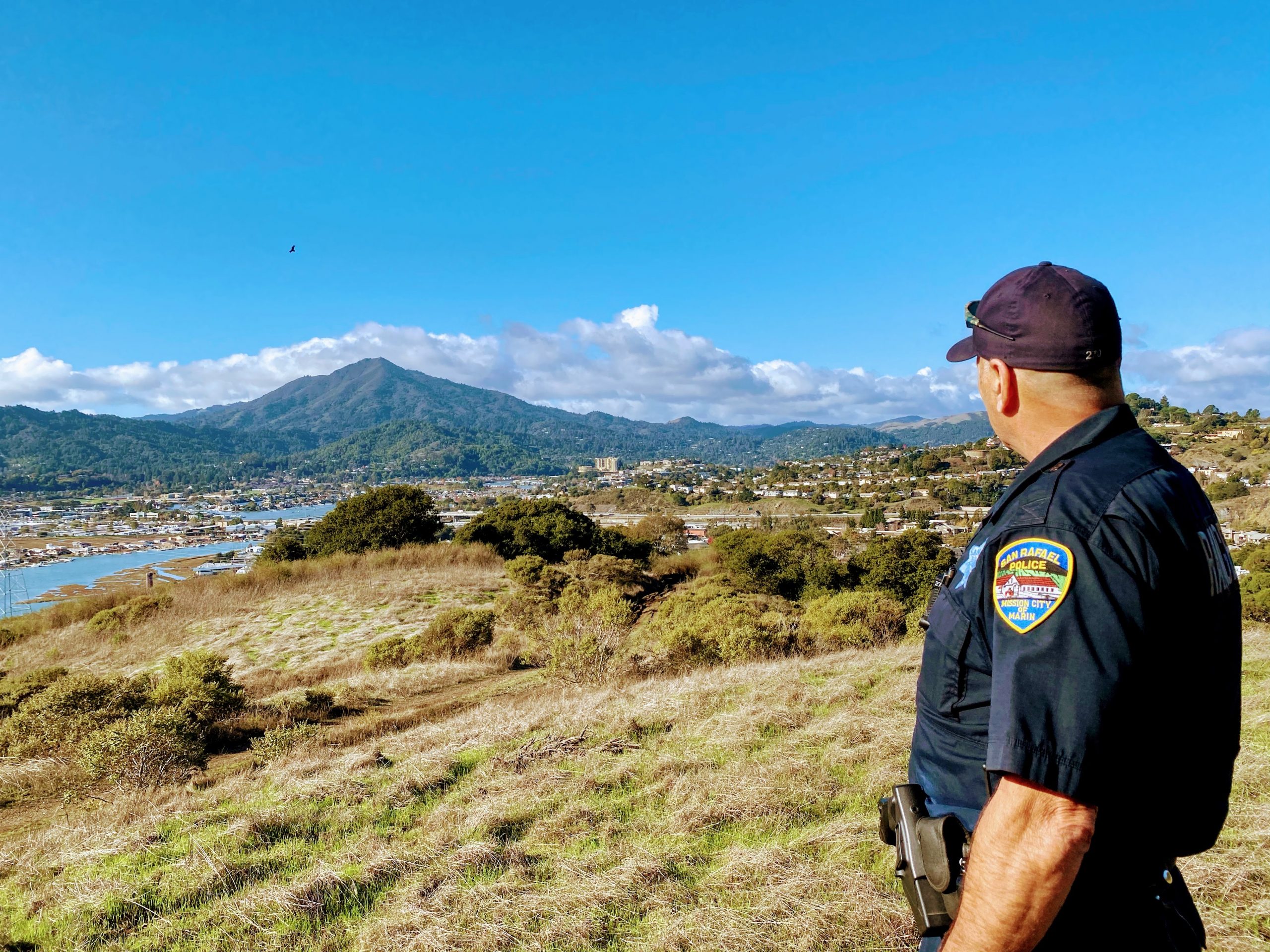 Mount Tam View - Coen