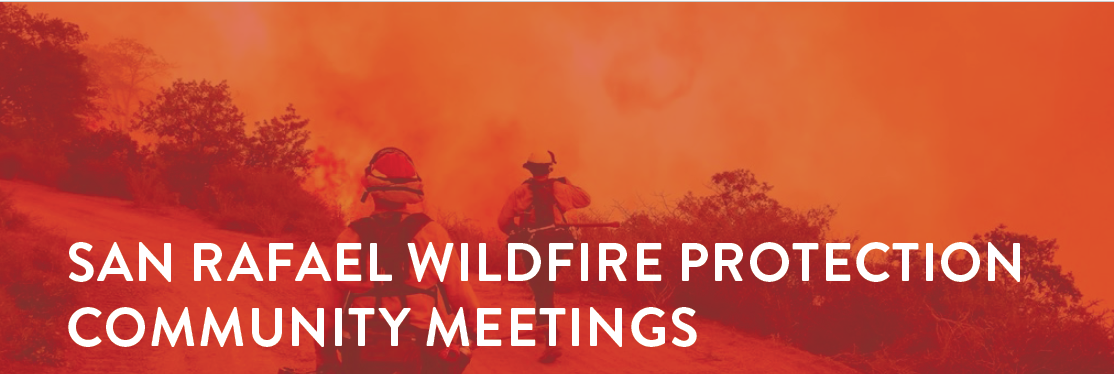 Wildfire Community Mtg