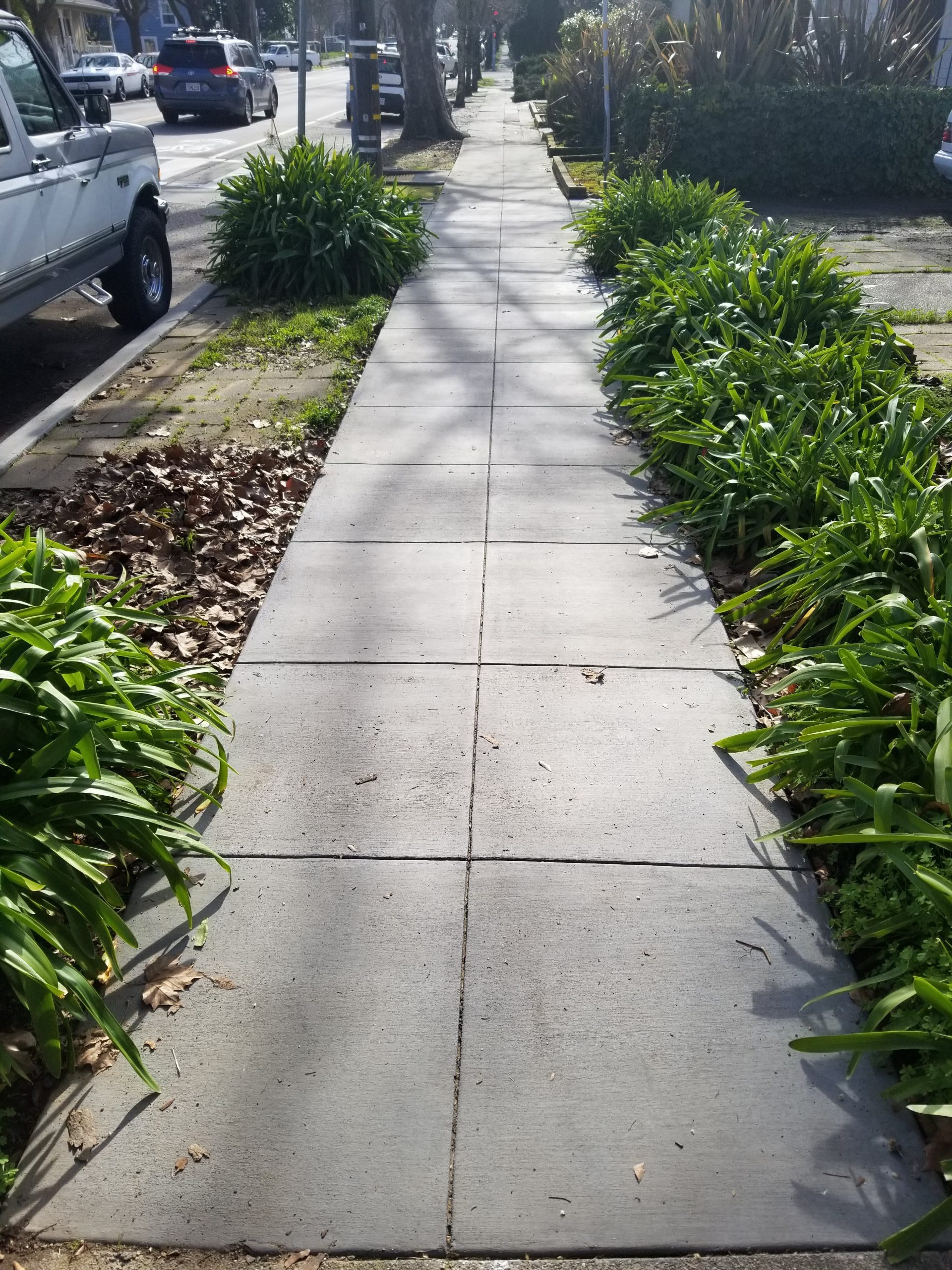 Sidewalk