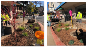 Downtown Beautification