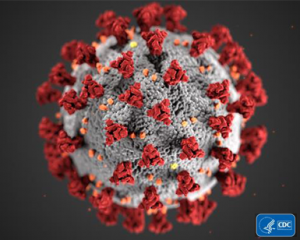 coronavirus