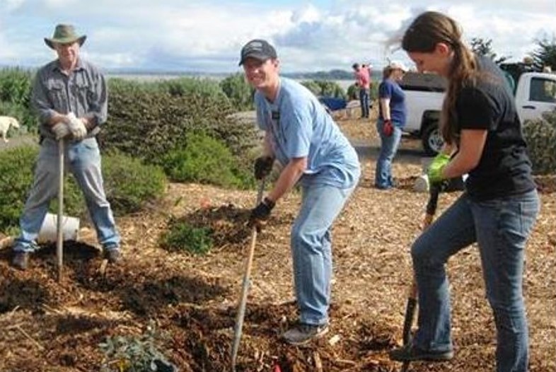 3 Tree Planting Volunteers