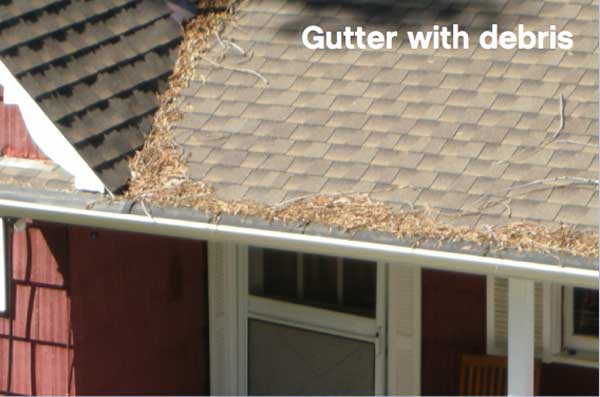 Gutter with debris - FireSafe Marin