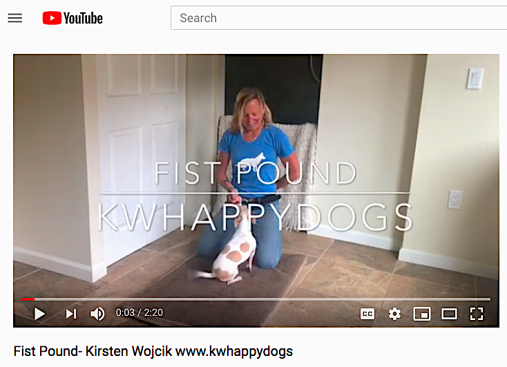 KW Happy Dogs Training Video