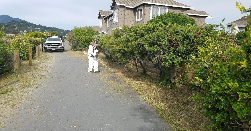 Pathway Cleanup