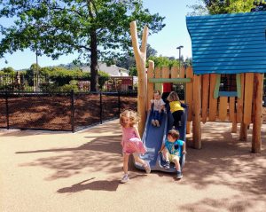 Albert Park Playground