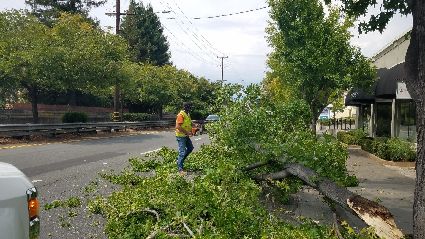 Public Works News San Rafael