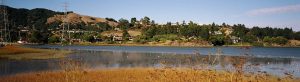 Marsh and Water