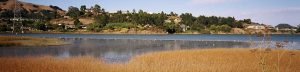 Marsh and Water