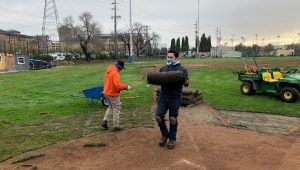 Albert Park Renovations