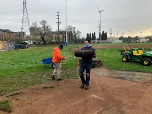 Albert Park Renovations