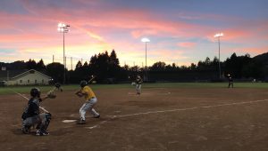 Playing softball at Albert Park Field