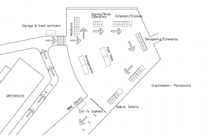 Falkirk Plant Sale - Layout