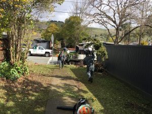 TLinda pedestrian easements clean up