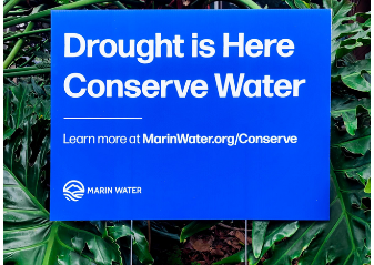 Drought and water restrictions