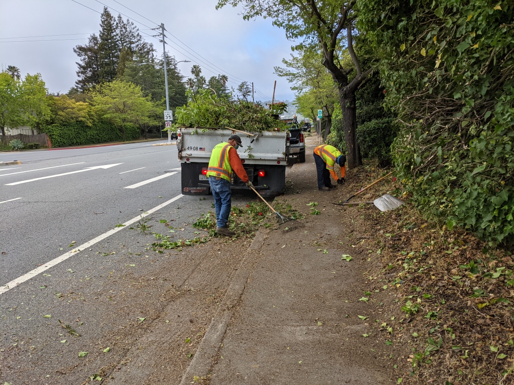 Vegetation pruning