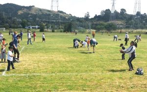 Pickleweed Park Soccer Field