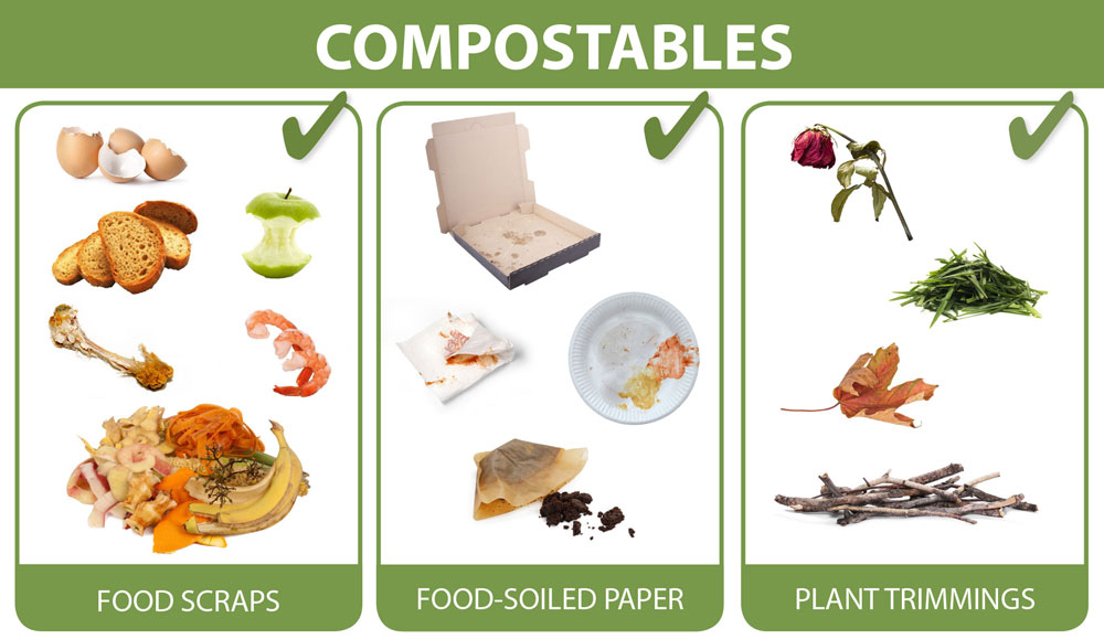 What can you compost?
