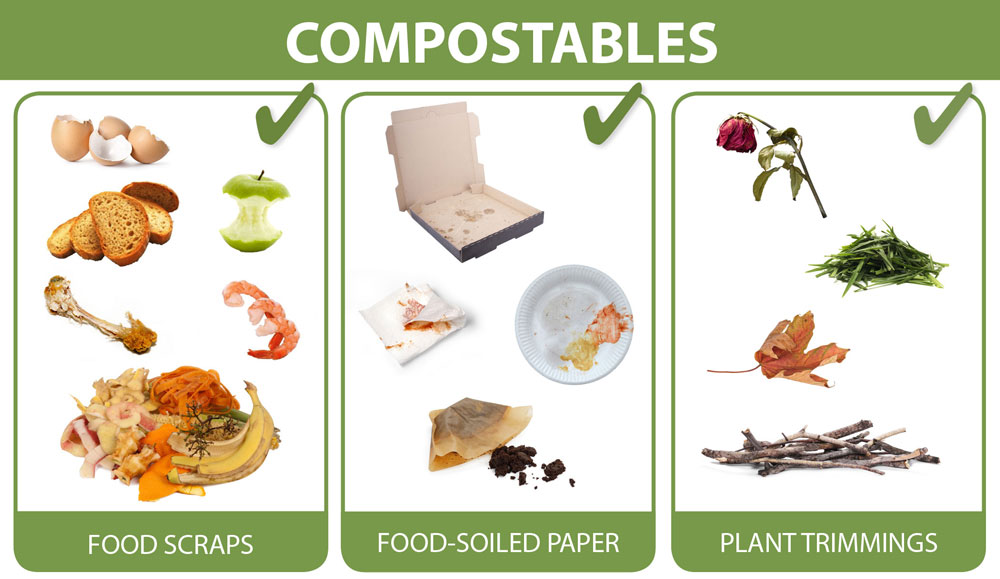 what-can-i-compost-san-rafael