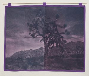Christine Huhn - Quilt #3 Joshua Tree NP - Cyanotype Quilt toned with Madder Root - 25"x18" - $500.00