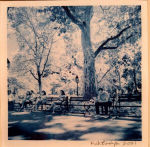 Kirk Lindgren - Washington Square - Cyanotype - 14"x14" - $250.00