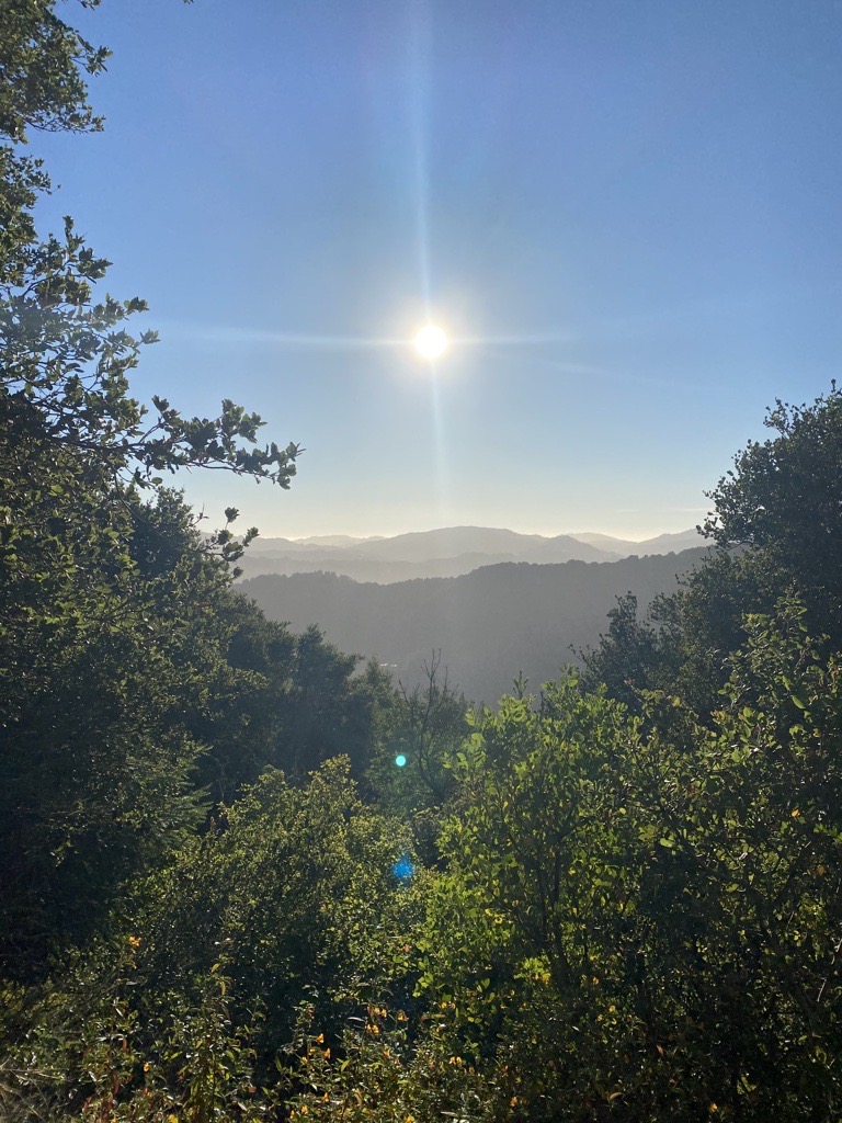 CAPTION: Harry Barbier Memorial Park, February 2022 PHOTO CREDIT: Walter Gonzalez