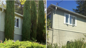 Photo of italian cypress around a home and the absence of them.