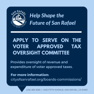 Voter Approved Tax Oversight Committee Image