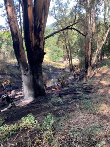 crews clean up after the fire during the following day