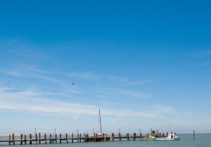 Boat Dock 