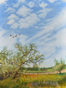 "Sonoma Wine County" - David Hardesty - $500.00