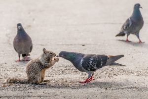 Sharing a Meal