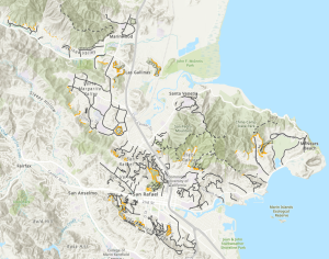 vegetation management map