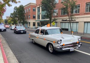 Car Procession Photo