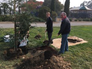 Arbor Day 2017